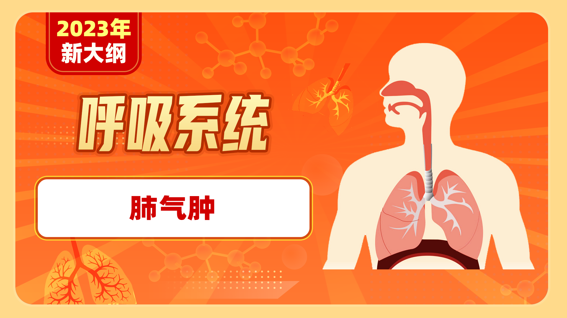 【2023年新大纲】呼吸系统-肺气肿