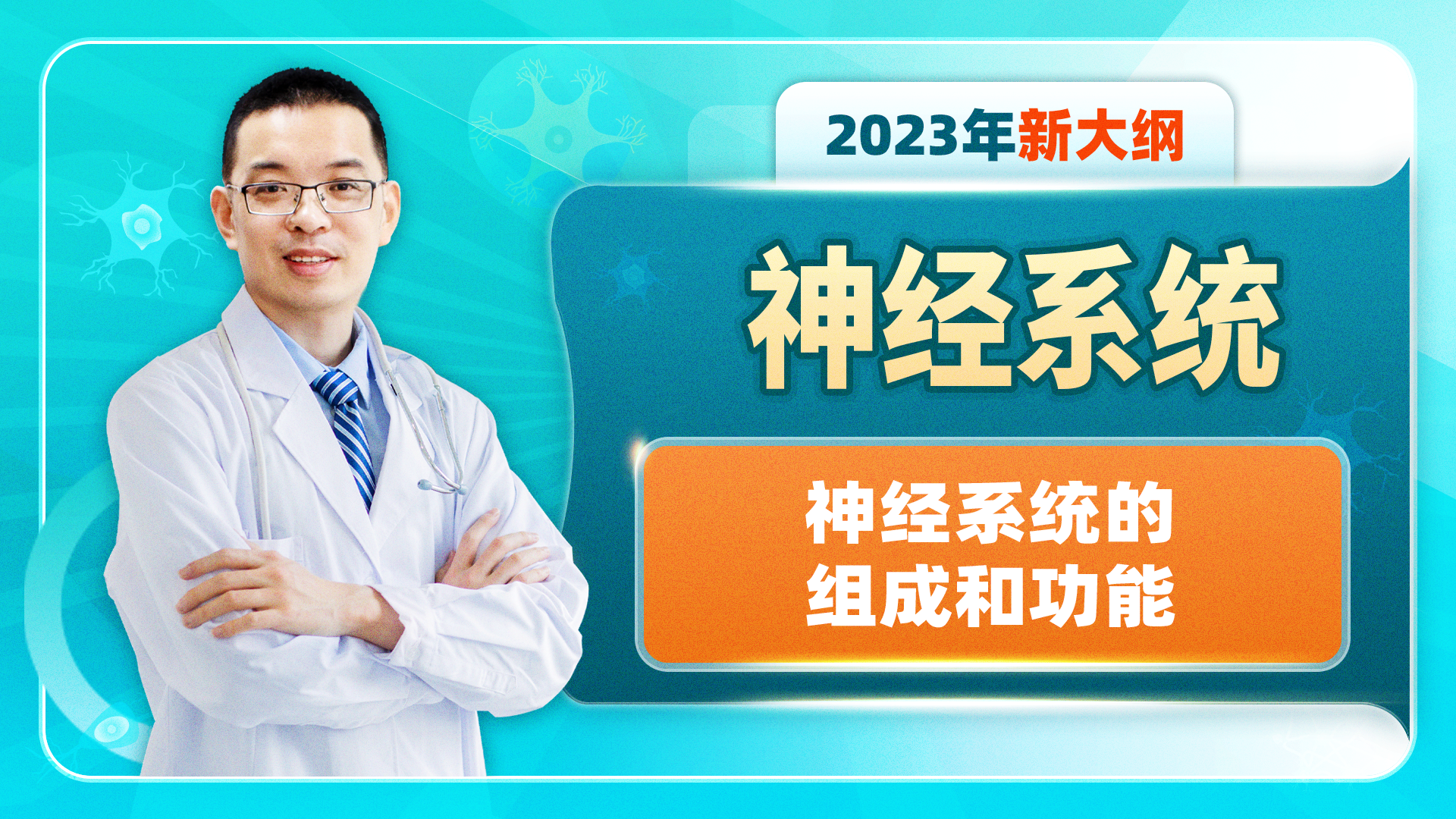 【2023年新大纲】神经系统-神经系统的组成和功能