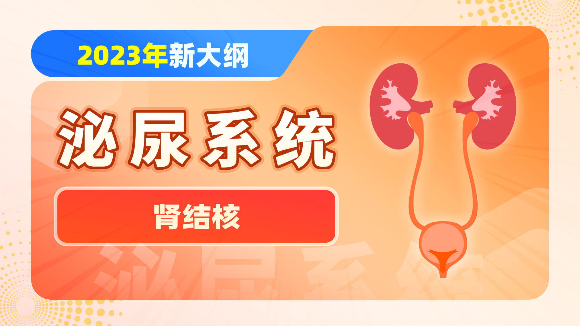 【2023年新大纲】泌尿系统-肾结核