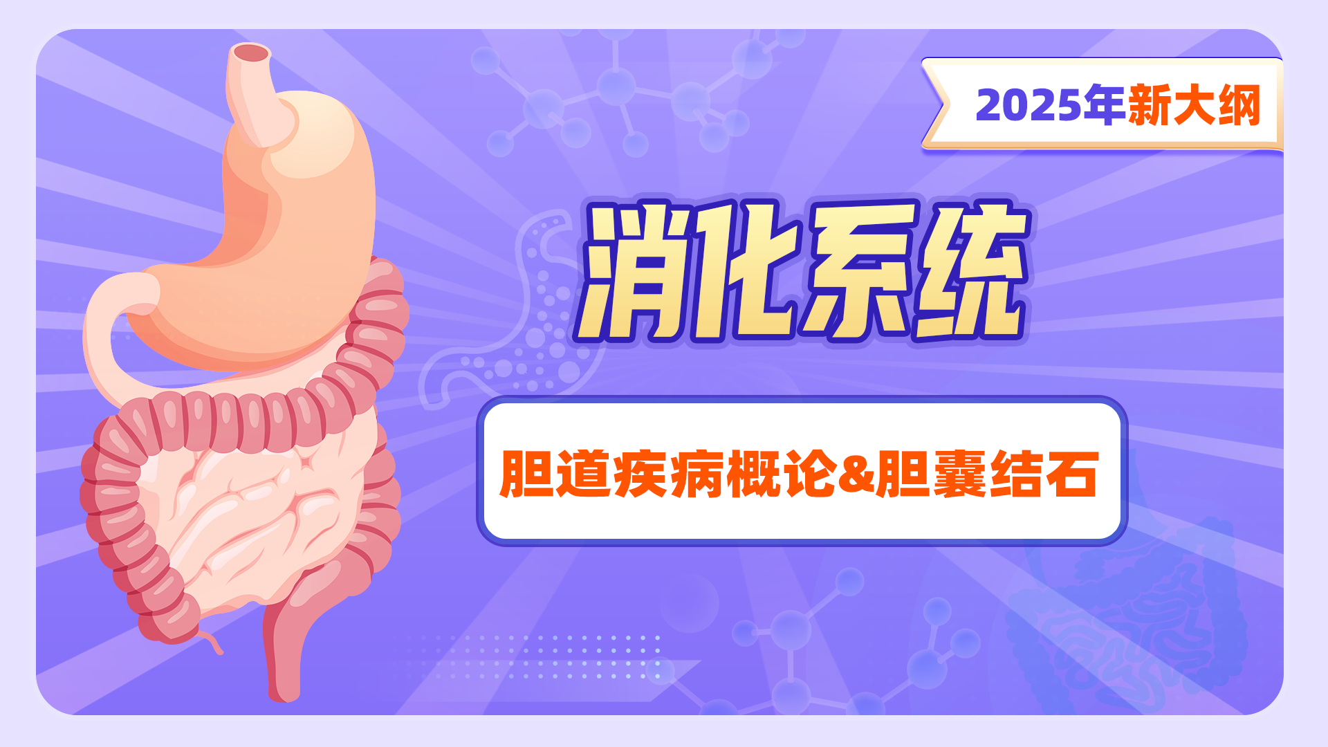 【2025年新大纲】消化系统-胆道疾病概论&amp;胆囊结石